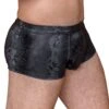Boxer Shorts Snake Pants Van NEK