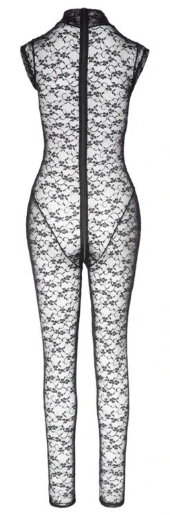 Sleeveless Lace Jumpsuit By Cottelli Collection 13 Sleeveless Lace Jumpsuit By Cottelli Collection -Rimba Winkel 27305451021 hollow rs