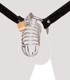 Pipedream Fetish Fantasy Series Extreme Kuisheidsgordel -Rimba Winkel Extreme Chastity Belt 1