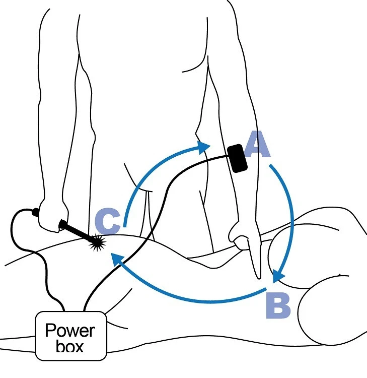 Rimba Electric Wartenberg Wheel Estim Kit 10 Rimba Electric Wartenberg Wheel Estim Kit - Afbeelding 8