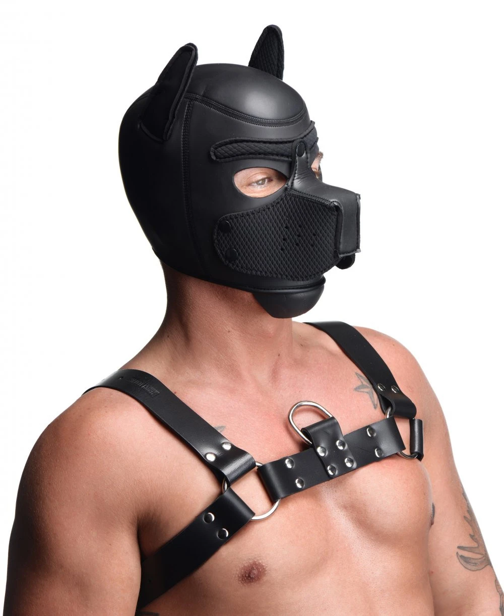 Master Series Spike Neoprene Puppy Hood Black 4 Master Series Spike Neoprene Puppy Hood Black - Afbeelding 2