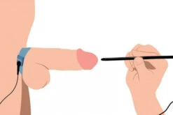 Amplifier Cock And Ball Strap With Penis EStim By Zeus AF539 10 Amplifier Cock And Ball Strap With Penis EStim By Zeus AF539 -Rimba Winkel e stim Cock and Ball Strap sound AF539 1