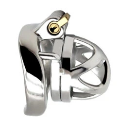 Polished Stainless Steel Micro Chastity Cage With Cylinder Lock