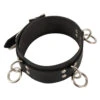 Latex Halsband Van LATE-X -Rimba Winkel or 2930021 01