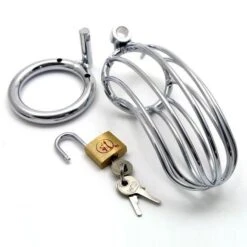 Master Series Stalen Variant Van De Curve Kuisheidskooi -Rimba Winkel xr ab292 ri 7991 the bird cage chastity device 4376